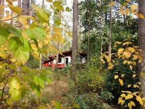 Área da propriedade