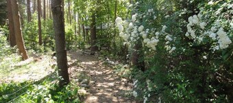 Cottage in the woods near Hitzacker / Elbe - walking and cycling from your doorstep 