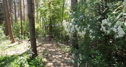 Cottage in the woods near Hitzacker / Elbe - walking and cycling from your doorstep