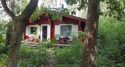 Casa de campo en el bosque cerca de Hitzacker / Elbe - caminando y en bicicleta desde su puerta