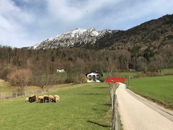 Ferienwohnung Nonn