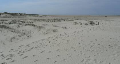 A paradise for humans and animals