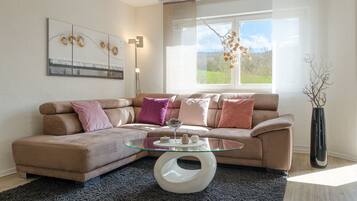 Télévision, lecteur de DVD, livres, chaßne hi-fi