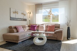 Télévision, lecteur de DVD, livres, chaîne hi-fi