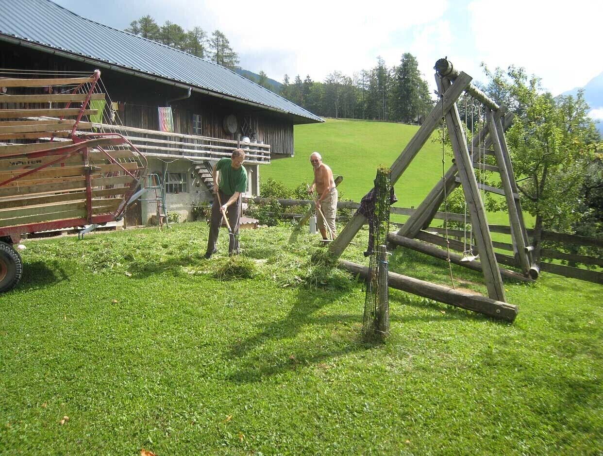 Un cadre rural avec une structure en bois, une balançoire et une remorque.