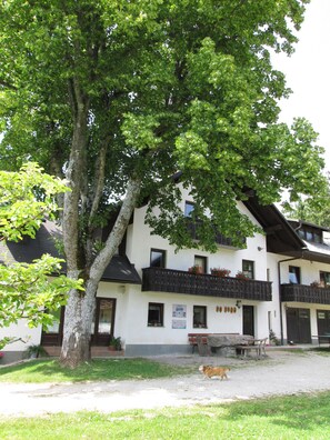 Ulkopuoli