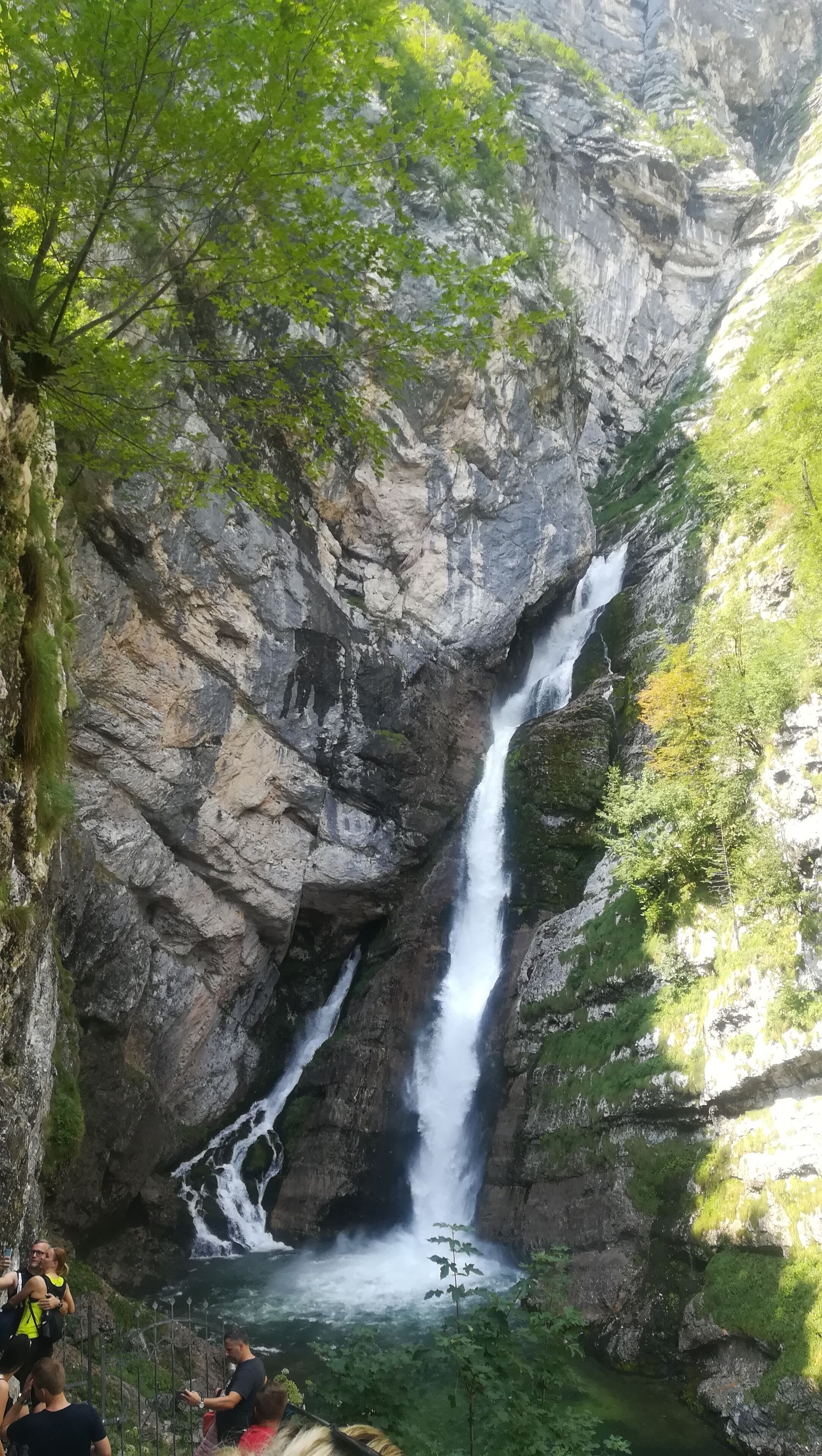 Una cascada se precipita por un acantilado rocoso rodeado de vegetación.