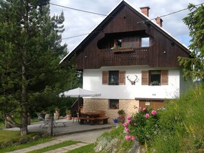 Exterior -  Ideal base for bikers, hiking, mushrooms u. Nature lovers in best location  (Bohinj -Koprivnik)