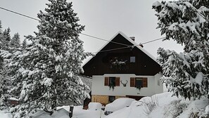 Exterior - Best starting point for bikers, hikers, mushroom and nature lovers in the national park  (Bohinj -Koprivnik)
