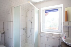 Shower, hair dryer, slippers, towels - Best starting point for bikers, hikers, mushroom and nature lovers in the national park  (Bohinj -Koprivnik)
