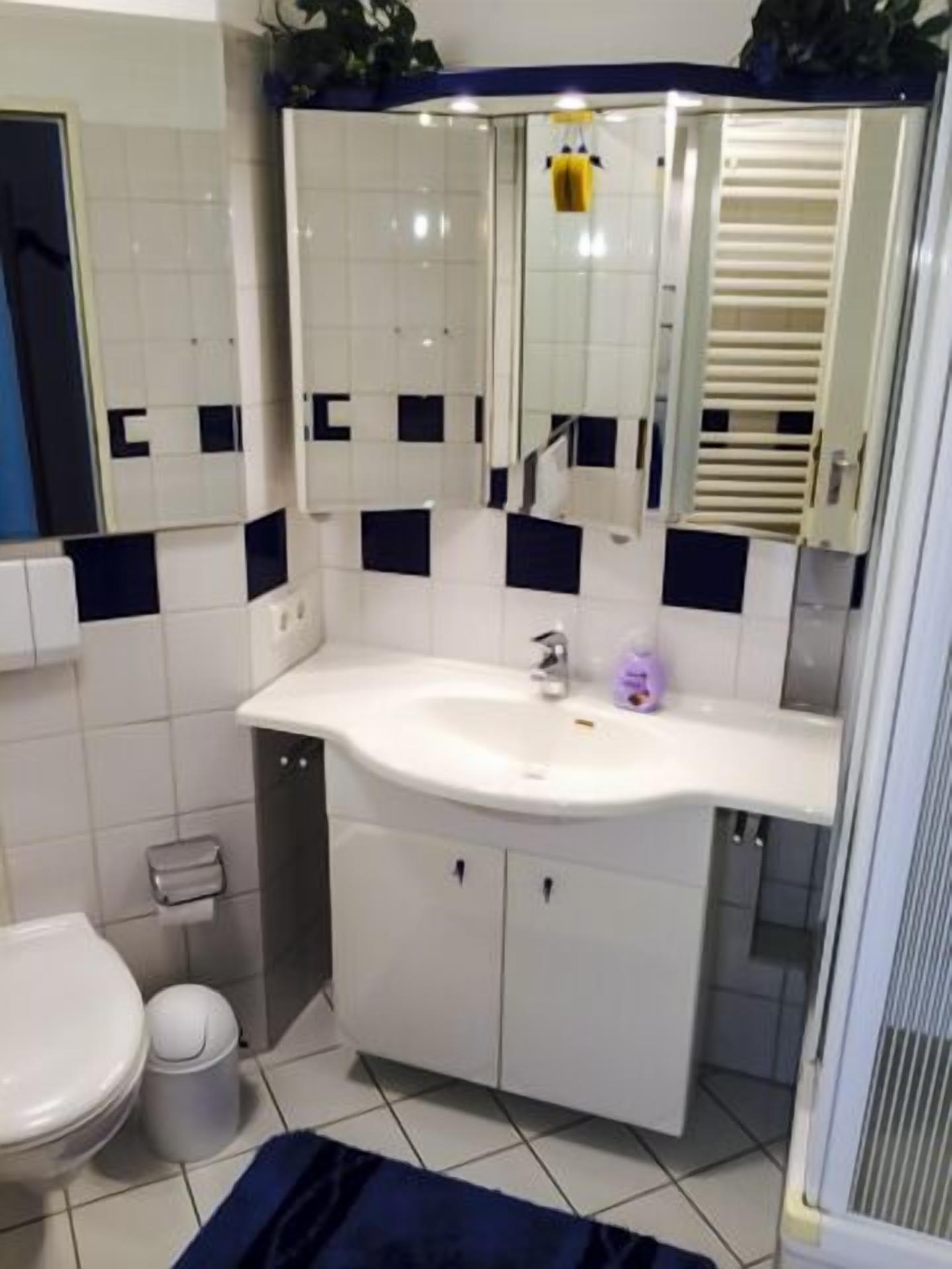 Ein Badezimmer mit weißem Waschbecken, einem Spiegel und einer Toilette.