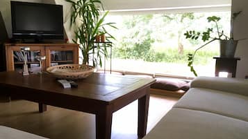 Tv, dvd-afspiller, musikbibliotek, videobibliotek
