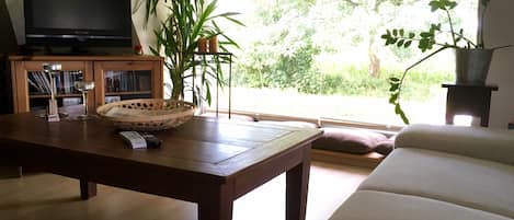 TV, DVD player, music library, video library