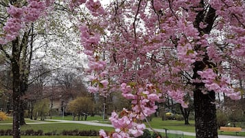 Enceinte de lâhĂ©bergement