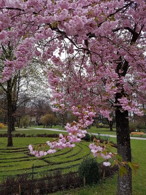 Jardines del alojamiento