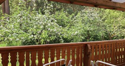 Appartements au bord du lac