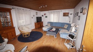 TV, fireplace, DVD player, books - Vacation apartment for up to 6 people with sunny courtyard, garden and pool (Neustadt an der Weinstraße)