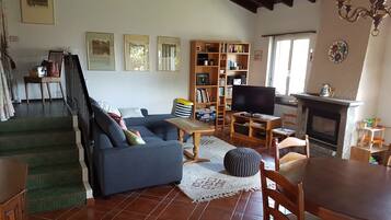 Fernseher, Kamin, DVD-Player, BĂŒcher