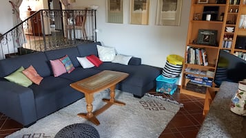 TV, fireplace, DVD player, books