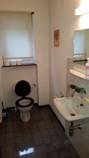 Bathtub, hair dryer, bidet, towels