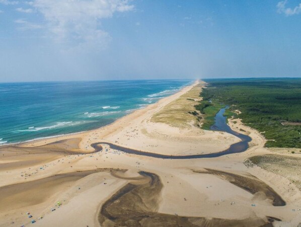 Playa en los alrededores y camastros 