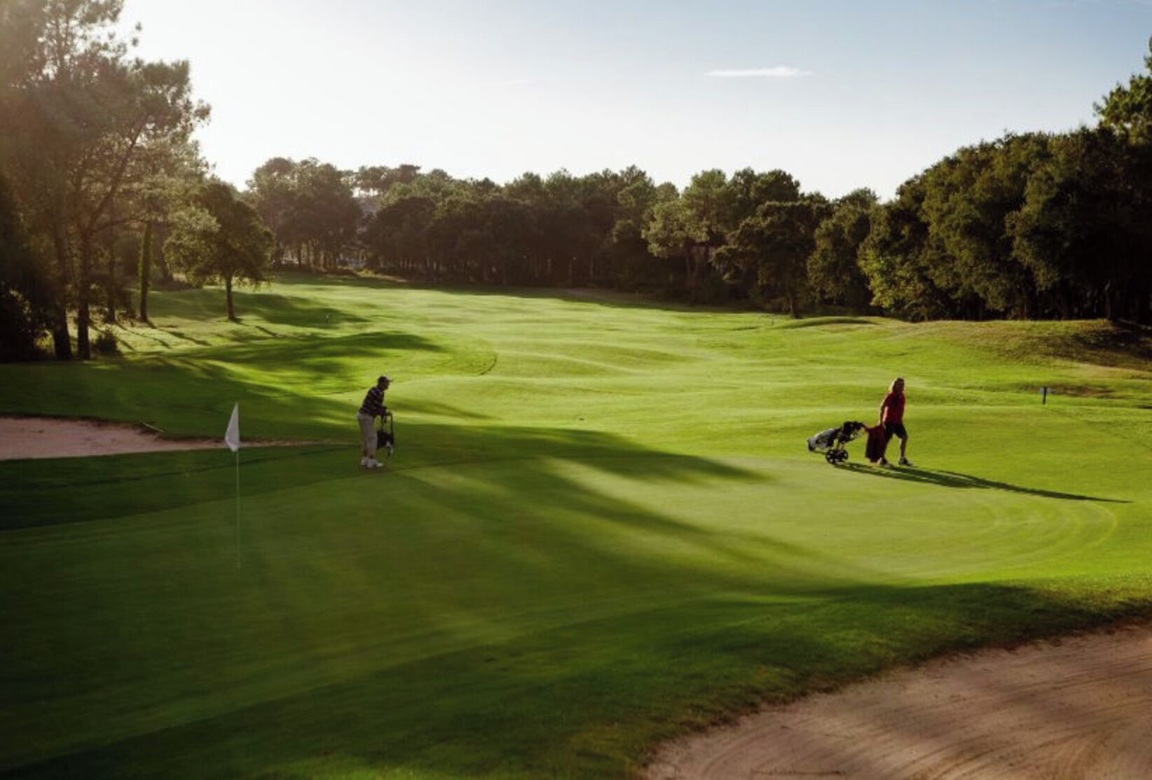 A golf course with a flagstick, sand bunkers, and a well-maintained green.