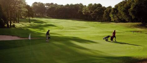 A golf course with a flagstick, sand bunkers, and a well-maintained green.