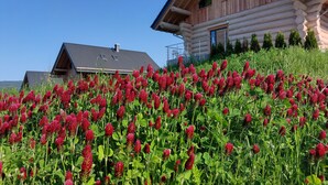 A wooden cabin with a sloped roof and a small window, surrounded by a field of red clover. - Canadian log cabins in the Hunsrück with lake and national park views (Langweiler)