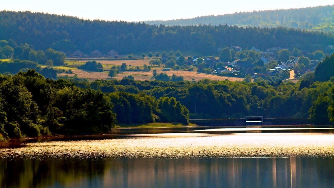 Una vista serena di un lago con un ponte, circondata da fitti boschi e un piccolo villaggio sullo sfondo.
