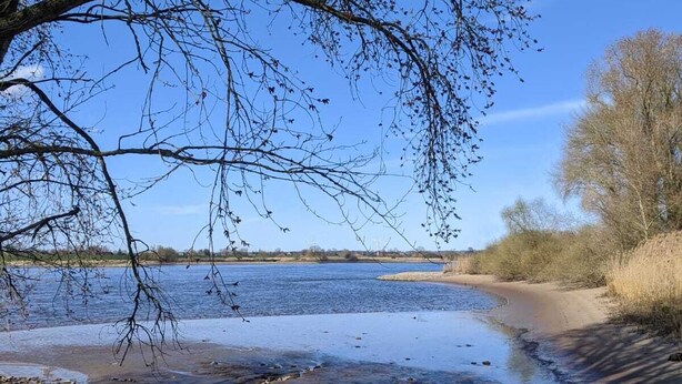 Een rivierlandschap met een heldere lucht, een zandstrand en een boom zonder bladeren.