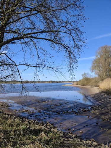 Apartment am Elbdeich