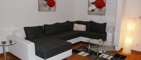 Smart TV, fireplace, DVD player, books