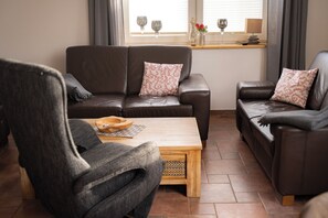 Televisio, takka, DVD-soitin, kirjoja