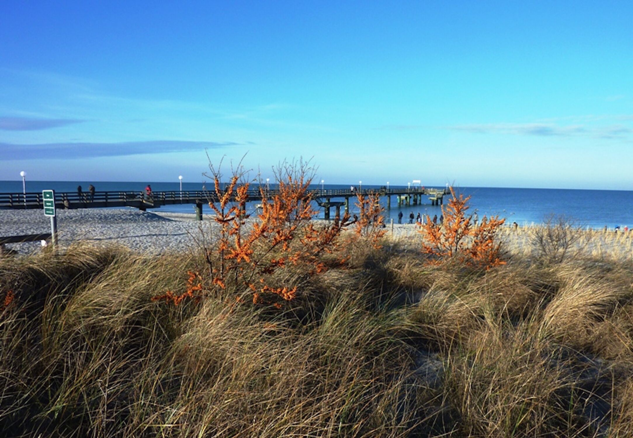 A beach with a pier extending into the sea, surrounded by grassy dunes and a clear sky.