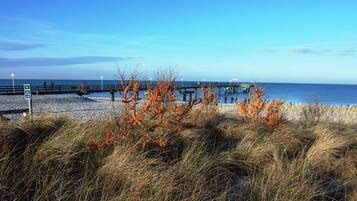 A beach with a pier extending into the sea, surrounded by grassy dunes and a clear sky.
