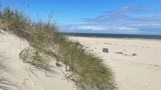 Ein sandiger Strand mit vereinzelter Vegetation und wolkenlosem, blauem Himmel.