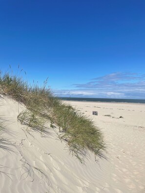 A sandy beach with sparse vegetation and a clear blue sky. - Charming Cottage on car-free island (Baltrum)