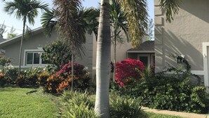 A residential area with a well-maintained lawn, palm trees, and flowering shrubs.