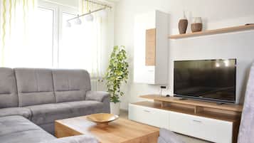 Fernseher, Stereoanlage