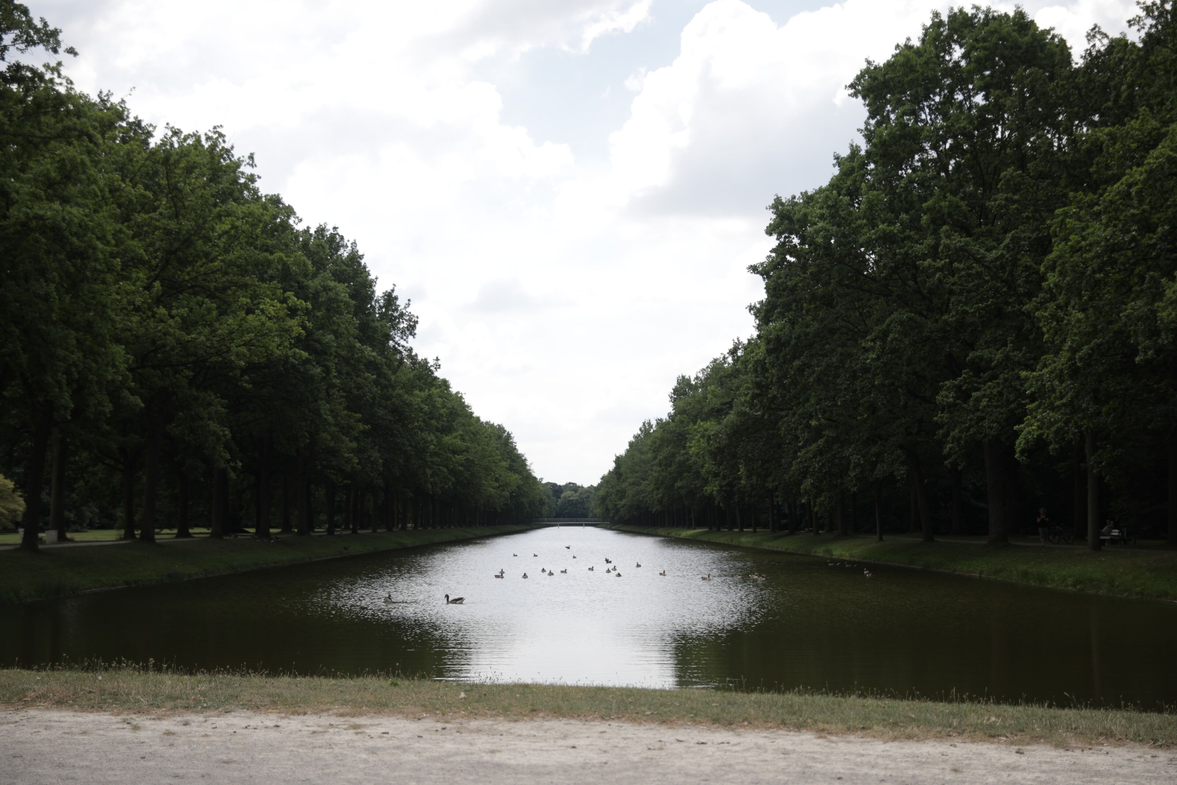 Ein Fluss, der von dichtem Baumbestand gesäumt wird, mit ruhigem Wasser und wolkenlosem Himmel.