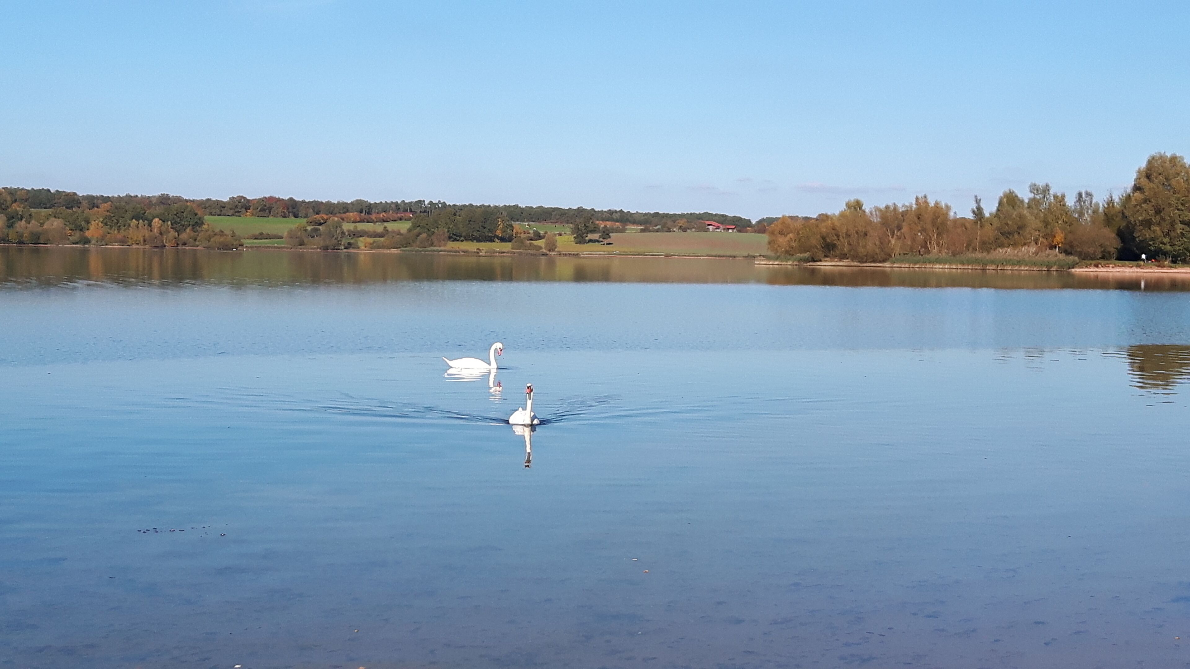 Lake