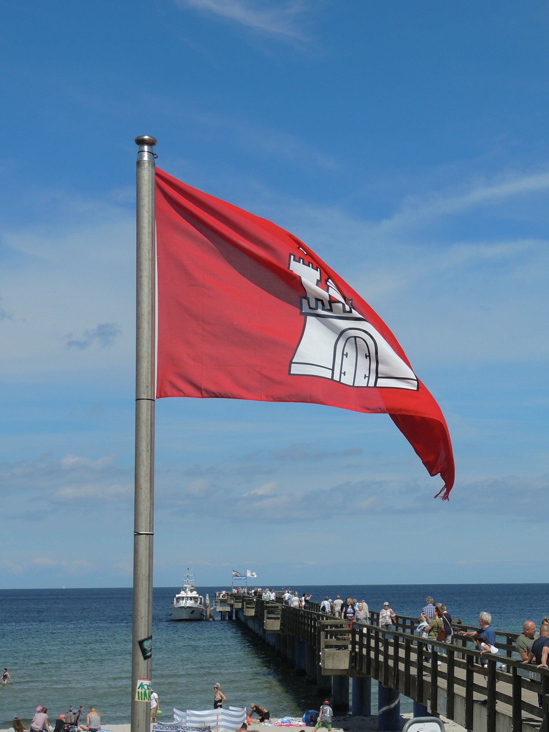 A flag on a pole with a coastal scene in the background.