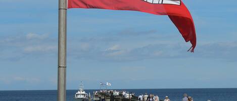 A flag on a pole with a coastal scene in the background.