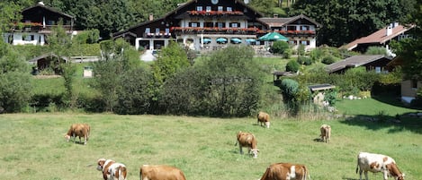 Parco della struttura