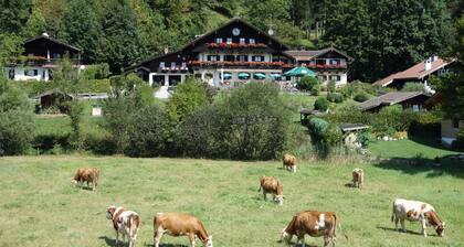 Kaunis asunto näköalalla Kaiserille