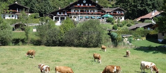 Beautiful apartment with a view of the Kaiser