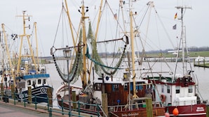 A harbor with several boats docked, featuring masts and rigging, and a wooden building with a sign.