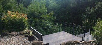 Forest view in the Lerbachtal / Harz