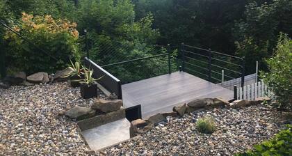 Forest view in the Lerbachtal / Harz