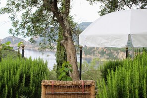 Property grounds - Villa Calivi Corfu - Design villa with panoramic views (Liapades, Paleokastritsa)